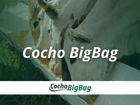 photo_2024-10-06_20-39-52