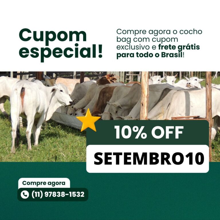 photo_2024-10-09_16-41-31