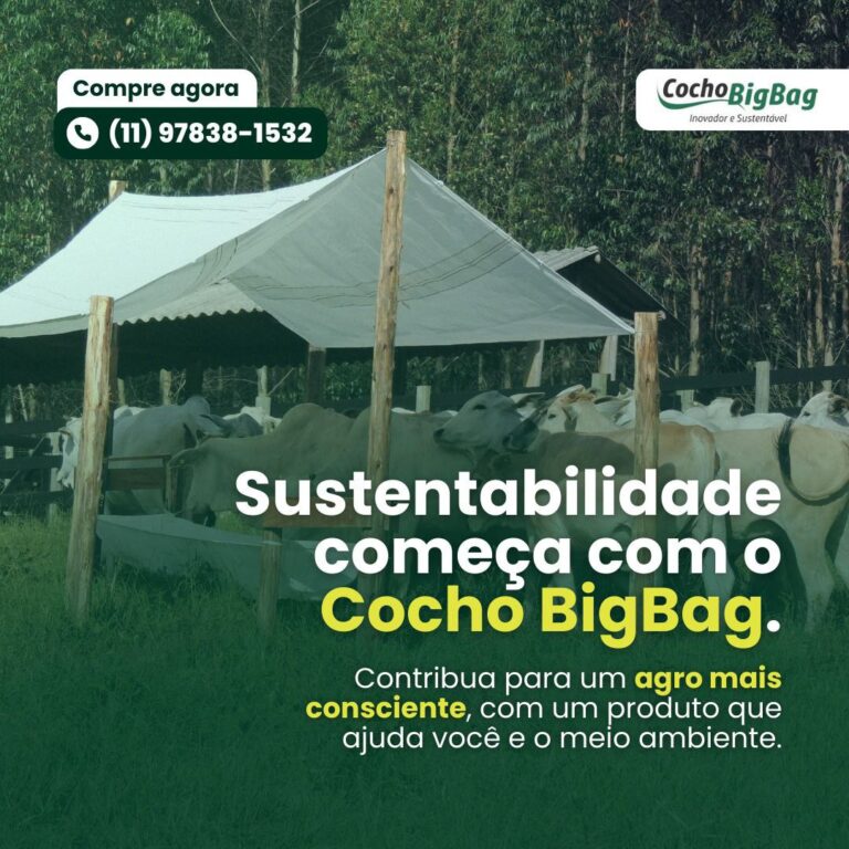 photo_2024-10-09_16-41-39